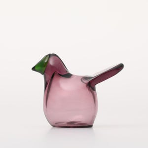 Birds Sieppo カルーナ×グリーン 0286