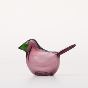 Birds Sieppo カルーナ×グリーン 0287