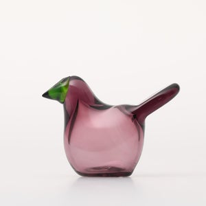 Birds Sieppo カルーナ×グリーン 0288