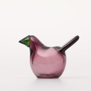 Birds Sieppo カルーナ×グリーン 0291