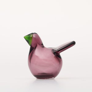 Birds Sieppo カルーナ×グリーン 0295