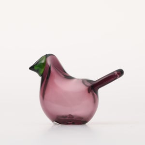 Birds Sieppo カルーナ×グリーン 0296