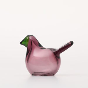 Birds Sieppo カルーナ×グリーン 0297