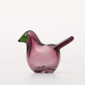 Birds Sieppo カルーナ×グリーン 0298