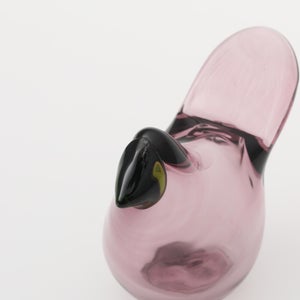 Birds Sieppo カルーナ×グリーン 0243