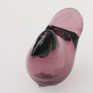 Birds Sieppo カルーナ×グリーン 0250