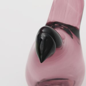 Birds Sieppo カルーナ×グリーン 0280