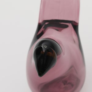 Birds Sieppo カルーナ×グリーン 0289