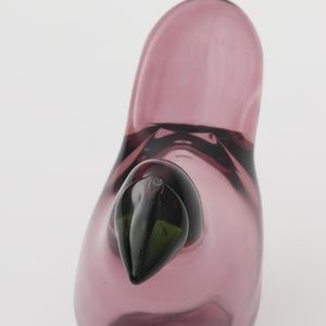 Birds Sieppo カルーナ×グリーン 0293