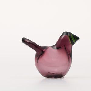 Birds Sieppo カルーナ×グリーン 0236