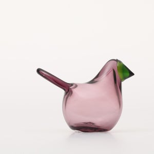 Birds Sieppo カルーナ×グリーン 0237