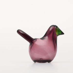 Birds Sieppo カルーナ×グリーン 0239