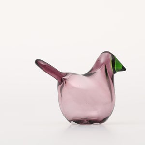 Birds Sieppo カルーナ×グリーン 0241