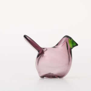 Birds Sieppo カルーナ×グリーン 0243