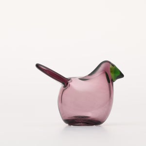 Birds Sieppo カルーナ×グリーン 0246