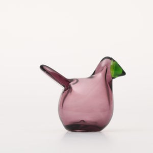 Birds Sieppo カルーナ×グリーン 0247