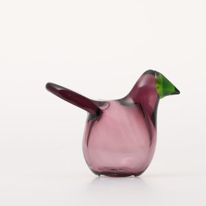 Birds Sieppo カルーナ×グリーン 0248