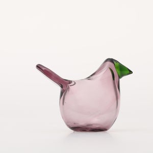 Birds Sieppo カルーナ×グリーン 0249