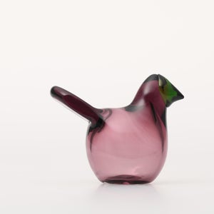 Birds Sieppo カルーナ×グリーン 0251