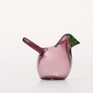 Birds Sieppo カルーナ×グリーン 0252