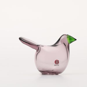 Birds Sieppo カルーナ×グリーン 0256