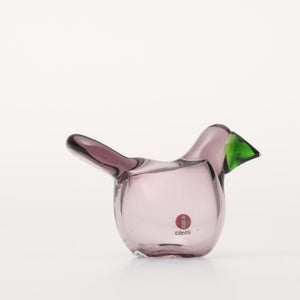 Birds Sieppo カルーナ×グリーン 0257