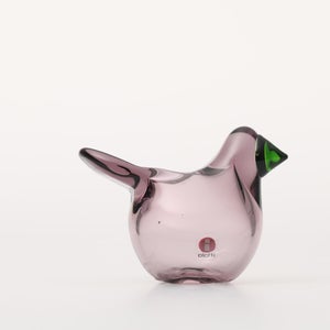 Birds Sieppo カルーナ×グリーン 0258