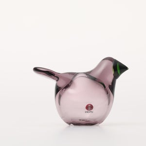 Birds Sieppo カルーナ×グリーン 0259