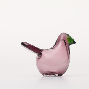 Birds Sieppo カルーナ×グリーン 0281