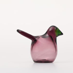 Birds Sieppo カルーナ×グリーン 0282