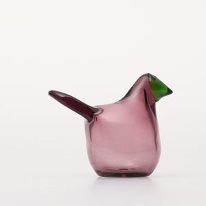 Birds Sieppo カルーナ×グリーン 0283