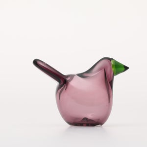 Birds Sieppo カルーナ×グリーン 0284