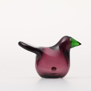 Birds Sieppo カルーナ×グリーン 0285