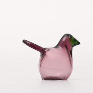 Birds Sieppo カルーナ×グリーン 0286