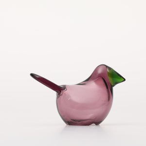 Birds Sieppo カルーナ×グリーン 0287