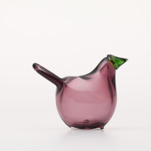 Birds Sieppo カルーナ×グリーン 0290