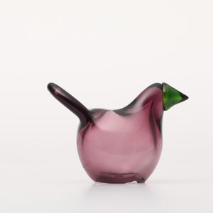 Birds Sieppo カルーナ×グリーン 0291