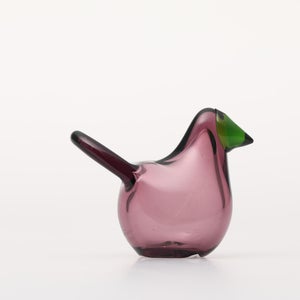 Birds Sieppo カルーナ×グリーン 0292