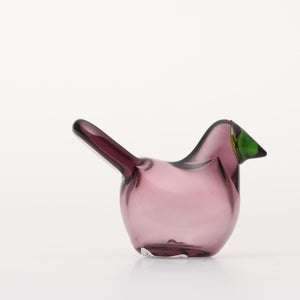 Birds Sieppo カルーナ×グリーン 0293