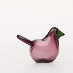 Birds Sieppo カルーナ×グリーン 0296