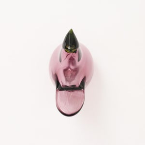 Birds Sieppo カルーナ×グリーン 0254