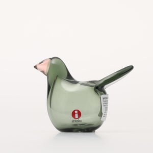 Birds Sieppo パイングリーン×サーモンピンク 0154