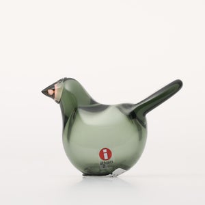 Birds Sieppo パイングリーン×サーモンピンク 0163