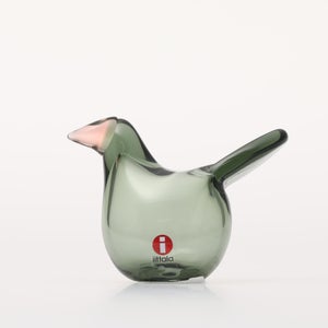 Birds Sieppo パイングリーン×サーモンピンク 0168