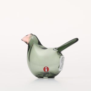 Birds Sieppo パイングリーン×サーモンピンク 0174