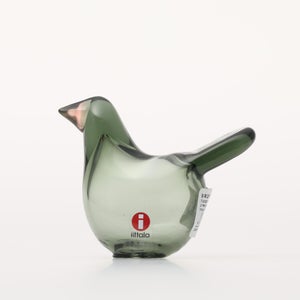 Birds Sieppo パイングリーン×サーモンピンク 0179