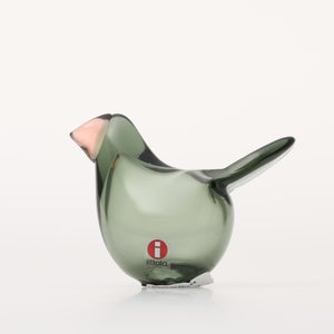 Birds Sieppo パイングリーン×サーモンピンク 0201