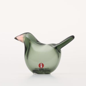 Birds Sieppo パイングリーン×サーモンピンク 0204