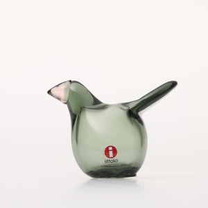 Birds Sieppo パイングリーン×サーモンピンク 0206