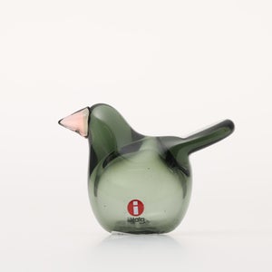 Birds Sieppo パイングリーン×サーモンピンク 0207